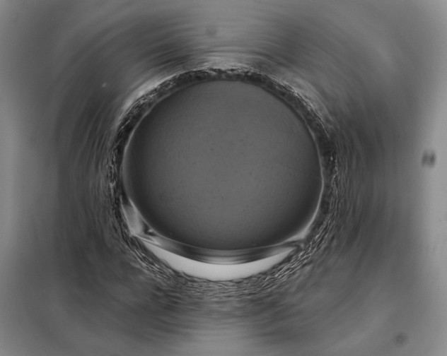 X0000098130920200805011318