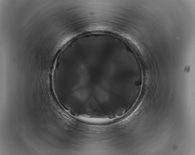 X0000098130921200805011318