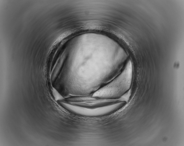 X0000098130922200805011318