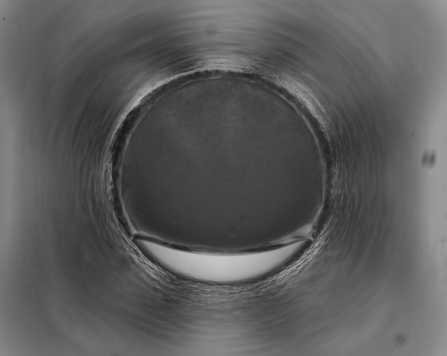 X0000098130923200805011318