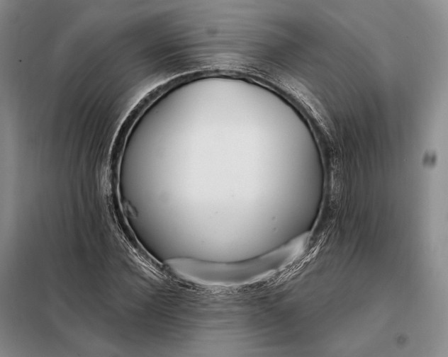 X0000098130924200805011318