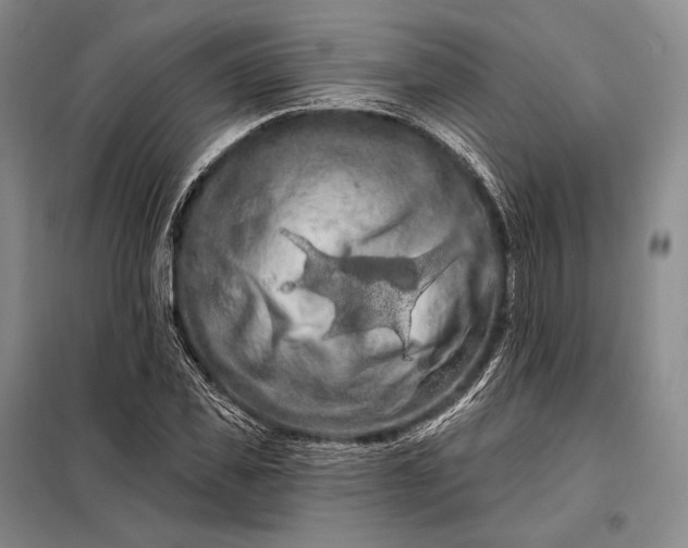 X0000098130925200805011318