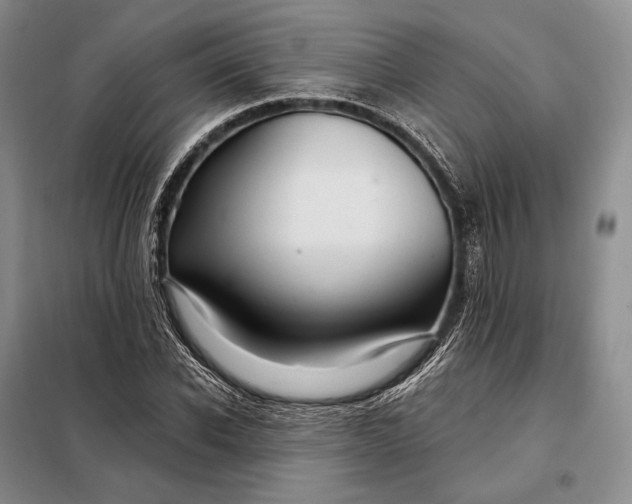 X0000098130926200805011318