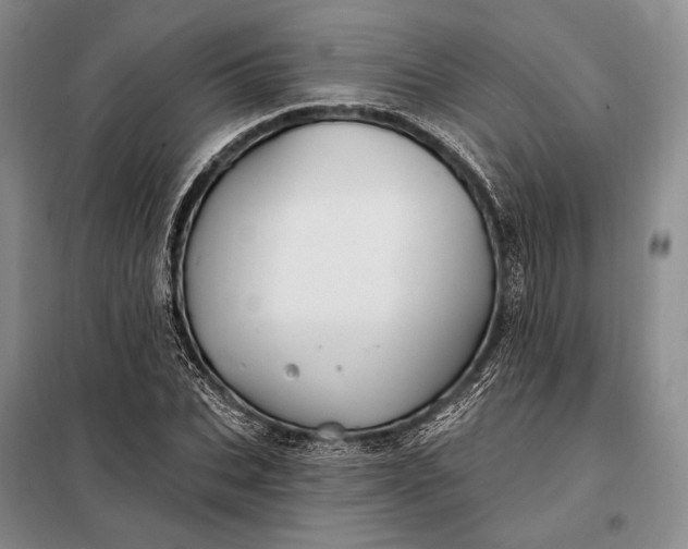 X0000098130927200805011318