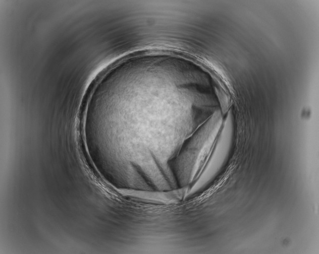 X0000098130928200805011318