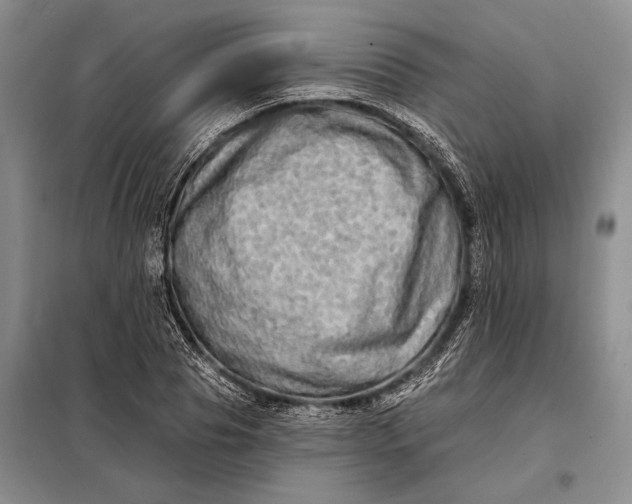 X0000098130929200805011318
