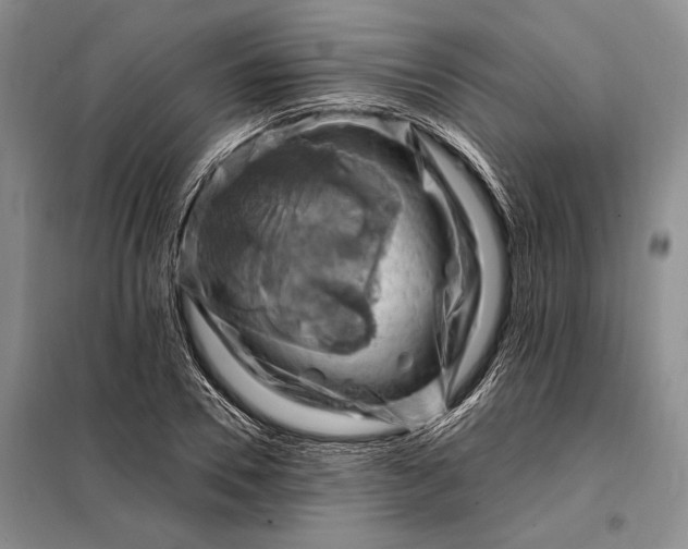 X0000098130930200805011318