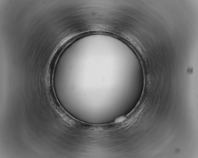 X0000098130931200805011318