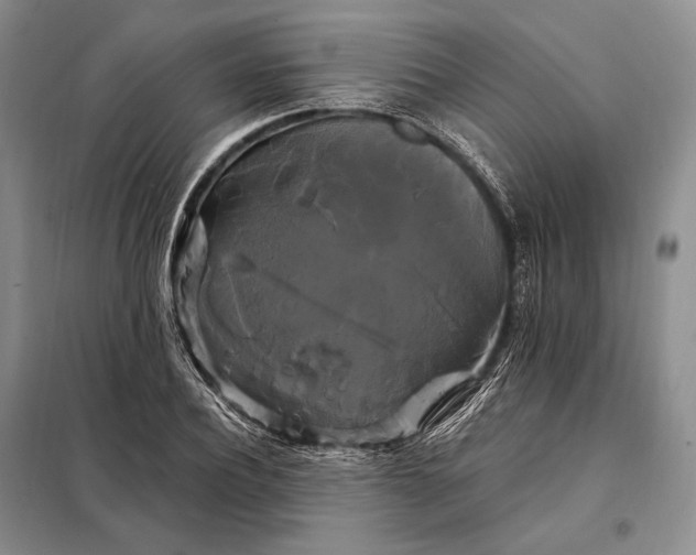 X0000098130932200805011318