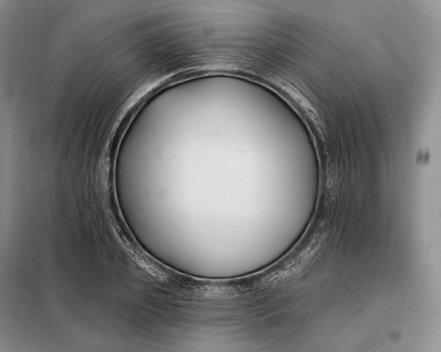 X0000098130933200805011318