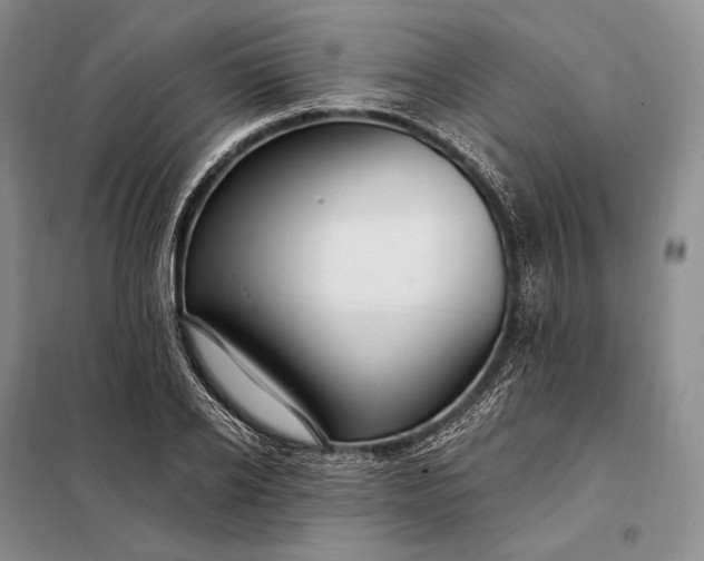 X0000098130934200805011318