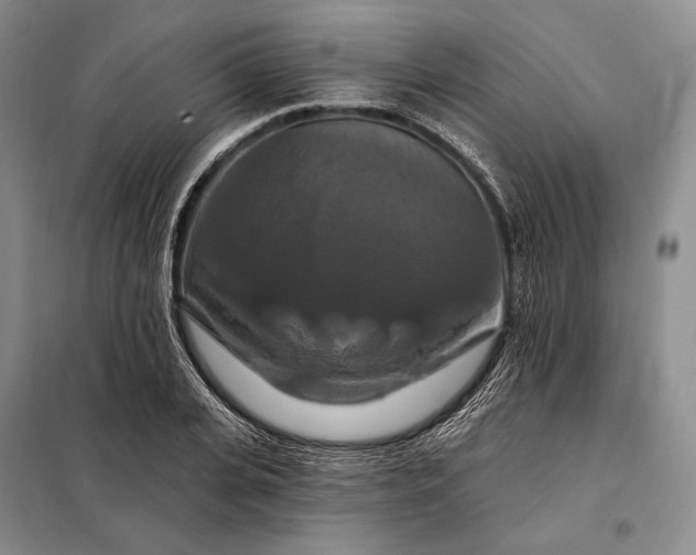 X0000098130935200805011318