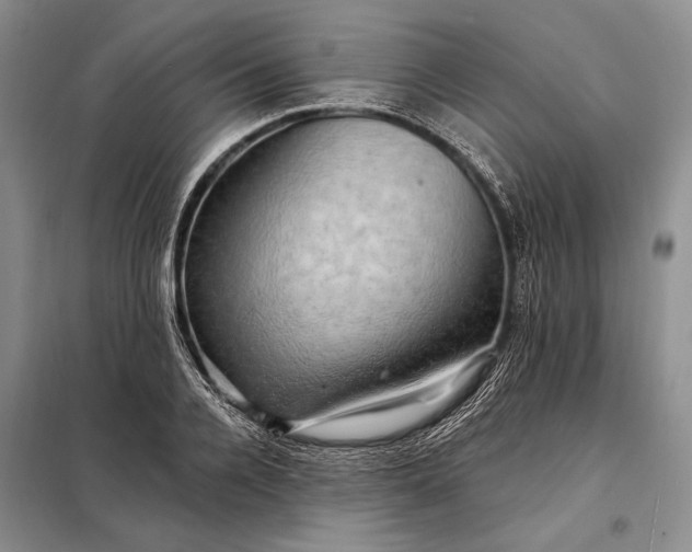 X0000098130936200805011318