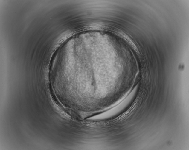 X0000098130938200805011318