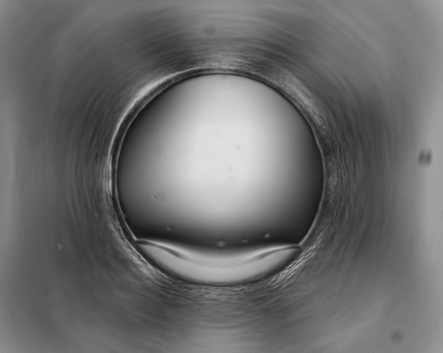 X0000098130940200805011318