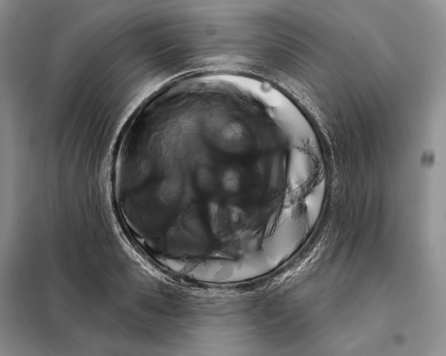 X0000098130941200805011318