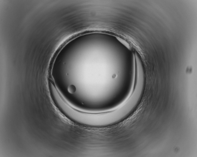 X0000098130942200805011318