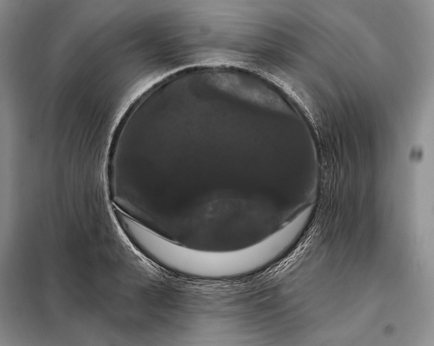 X0000098130943200805011318