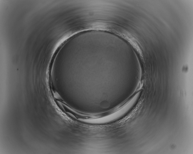 X0000098130944200805011318