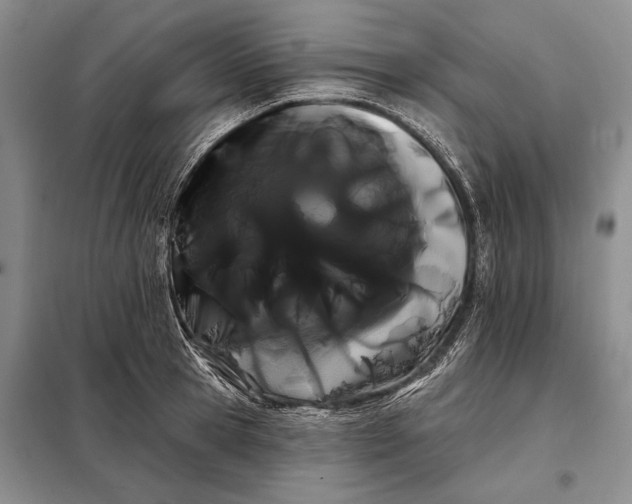 X0000098130945200805011318
