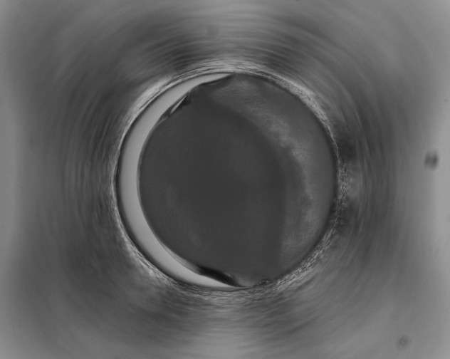 X0000098130946200805011318