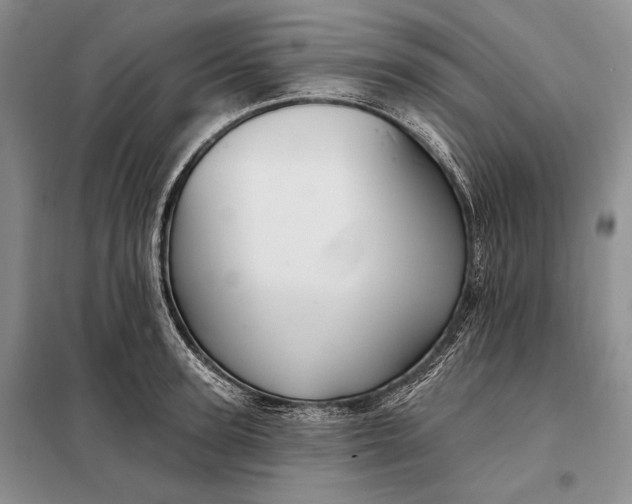 X0000098130947200805011318