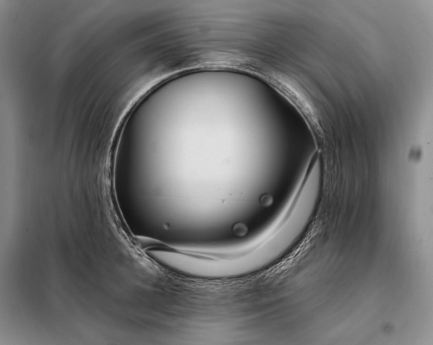 X0000098130948200805011318