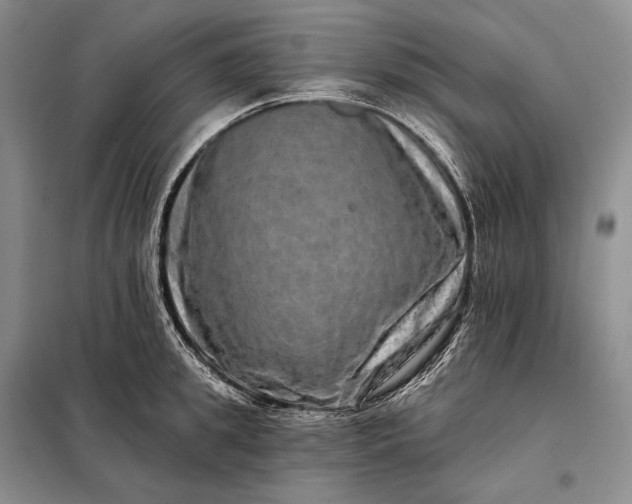 X0000098130949200805011318
