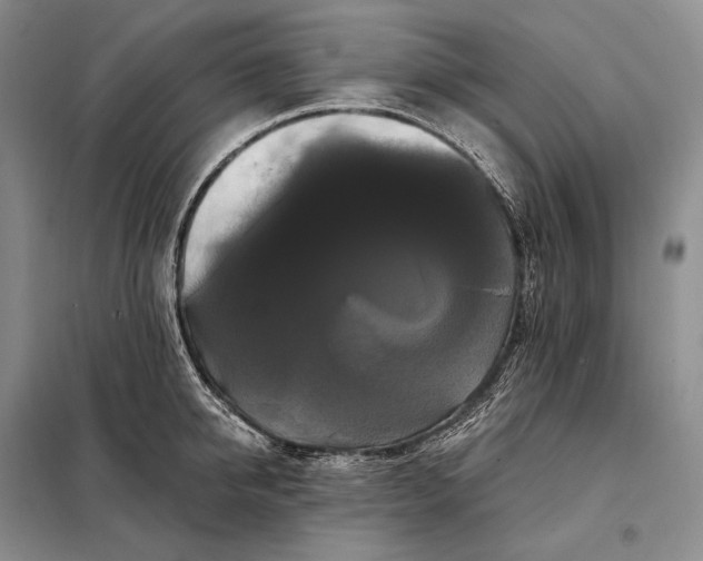 X0000098130950200805011318