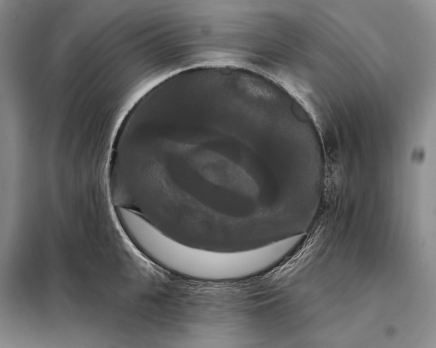 X0000098130951200805011318