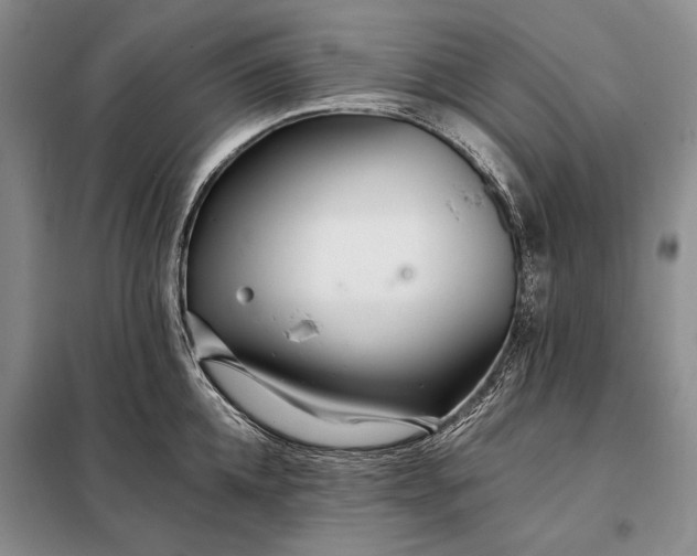 X0000098130952200805011318