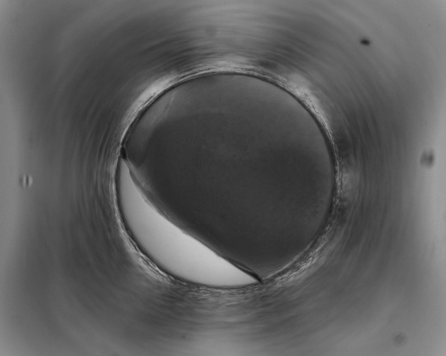 X0000098130954200805011318