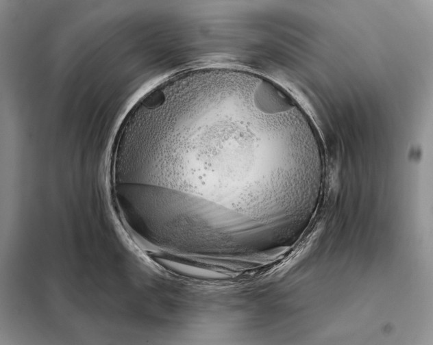X0000098130957200805011318