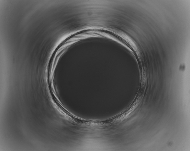 X0000098130958200805011318