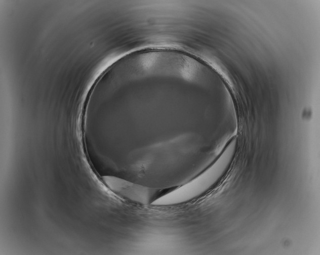 X0000098130959200805011318