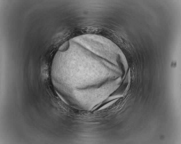 X0000098130962200805011318