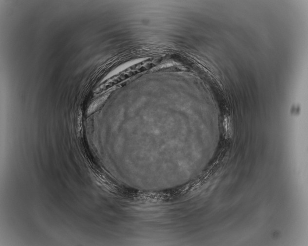 X0000098130963200805011318