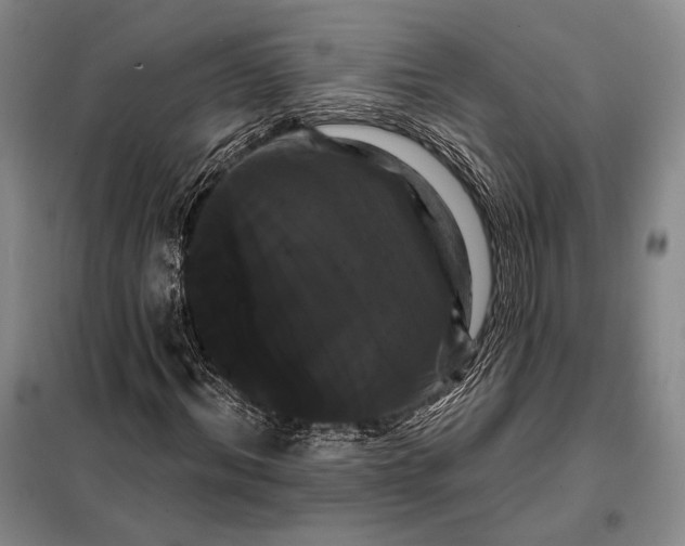 X0000098130964200805011318