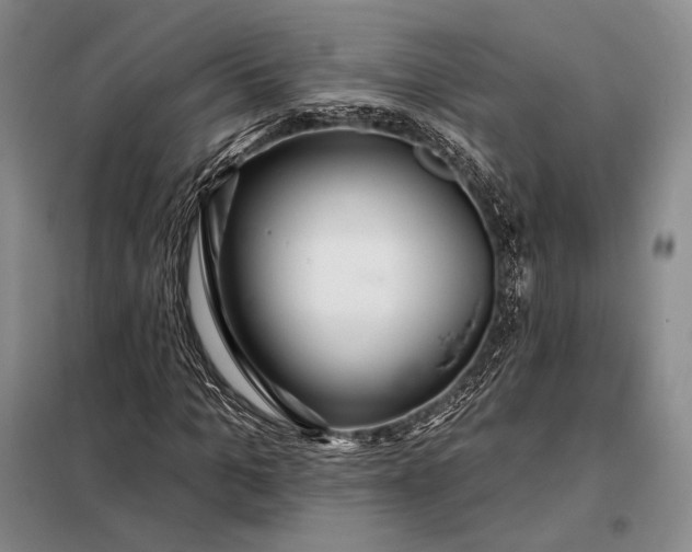 X0000098130965200805011318