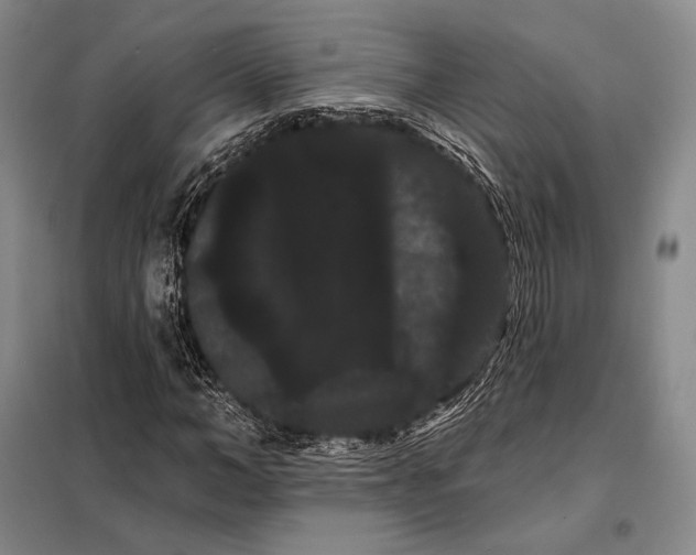 X0000098130966200805011317