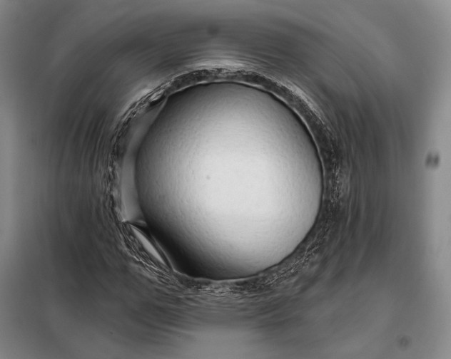 X0000098130967200805011317