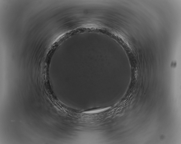 X0000098130968200805011317