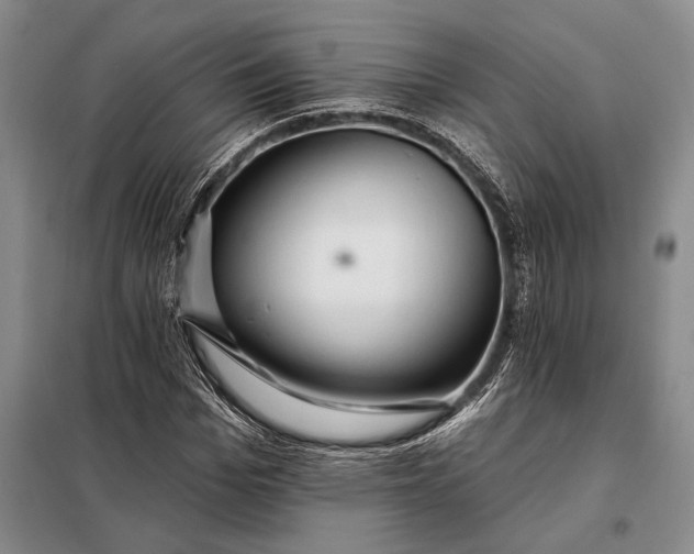 X0000098130969200805011317