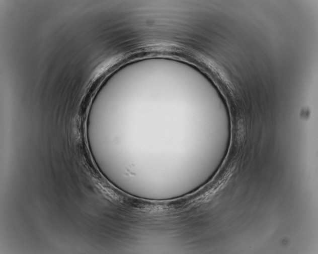 X0000098130970200805011317
