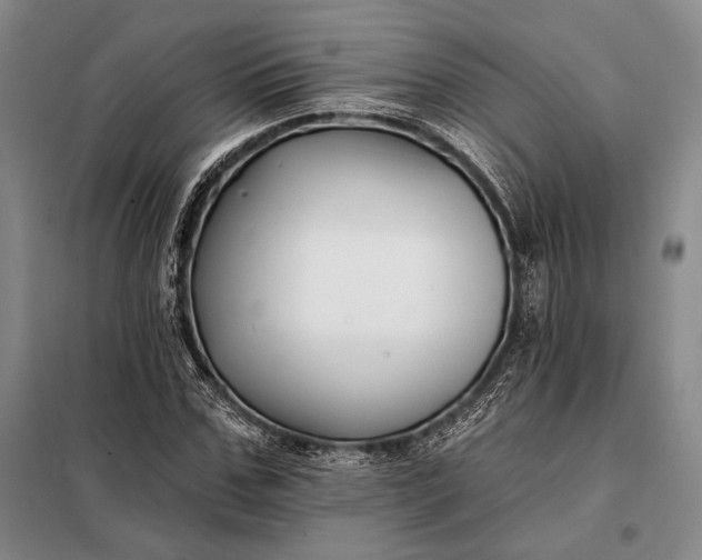 X0000098130971200805011317