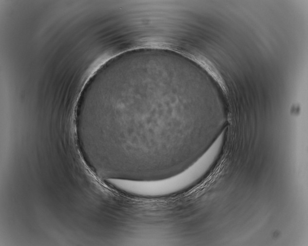 X0000098130972200805011317