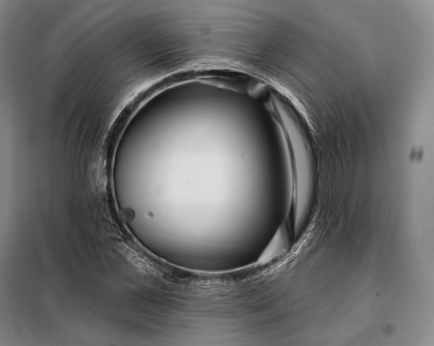 X0000098130973200805011317