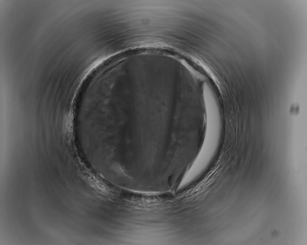 X0000098130975200805011317