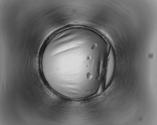 X0000098130976200805011317