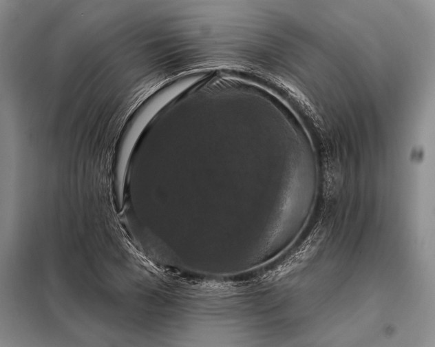 X0000098130977200805011317